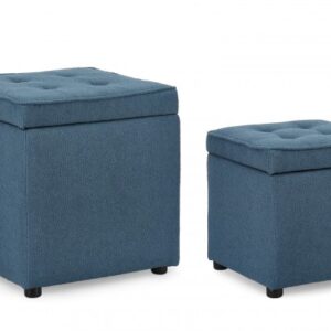 SET2 POUF CONT. DERRICK BLU