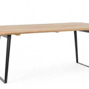 TAVOLO NASHIK 200X100